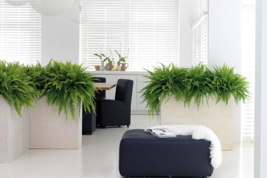 Dekoration für wohnung & wohnzimmer aus erfurt (thüringen) Wohnzimmer deko natur