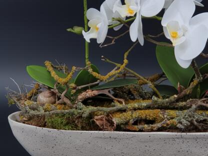 Längliches Orchideengesteck in Keramik – Bild 5