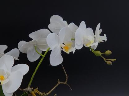 Längliches Orchideengesteck in Keramik – Bild 3