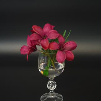 Frangipani Blüte im künstlichen Wasser.