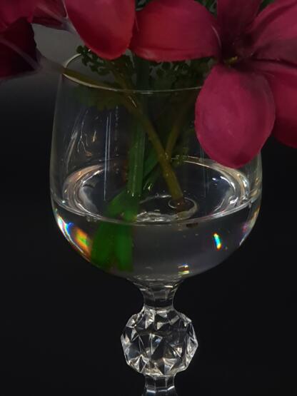 Frangipani Blüte im künstlichen Wasser. – Bild 2