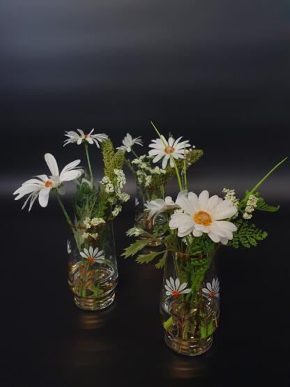 Margerite mit Hirse im künstlichen Wasser. – Bild 5