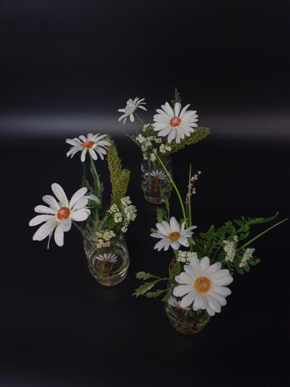 Margerite mit Hirse im künstlichen Wasser. – Bild 4
