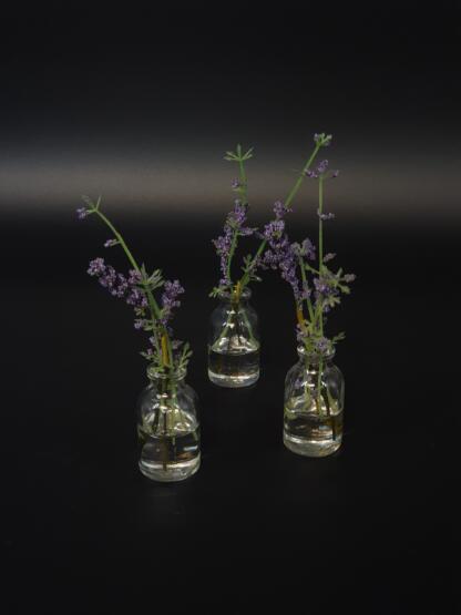 Lavendel im künstlichen Wasser. – Bild 2