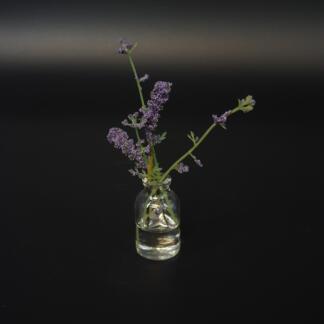 Lavendel im künstlichen Wasser.