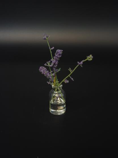 Lavendel im künstlichen Wasser.