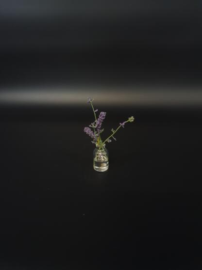 Lavendel im künstlichen Wasser. – Bild 3