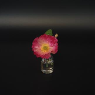 Rosa Mohnblüte im künstlichen Wasser.