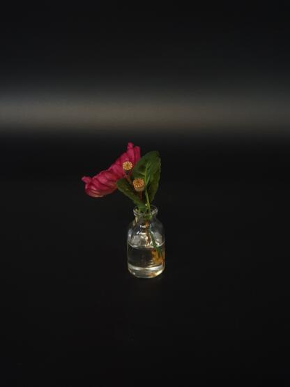 Rosa Mohnblüte im künstlichen Wasser. – Bild 3
