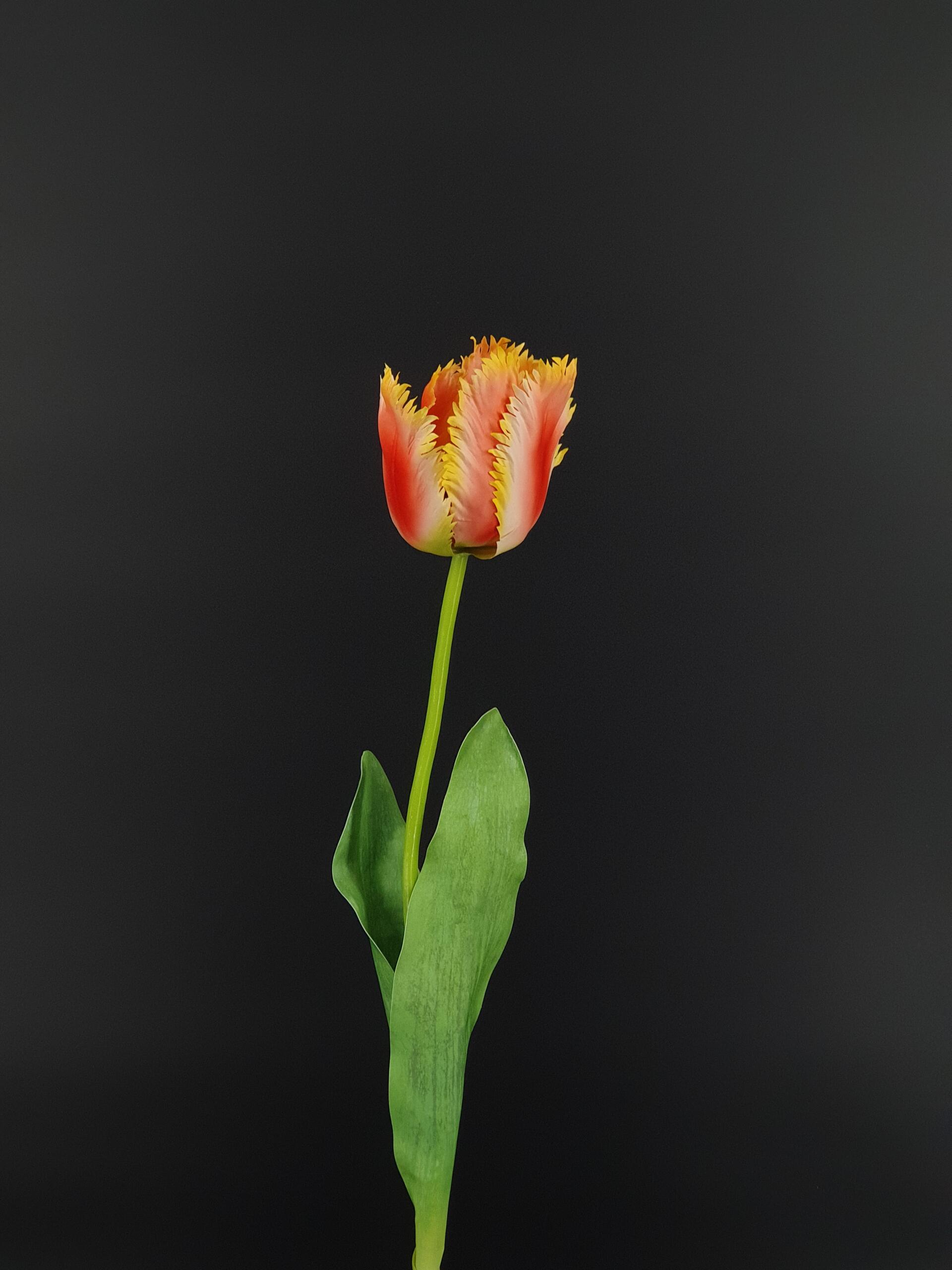 Künstliche Tulpe mit ausgefransten Blütenblättern – in Lachs, Gelb und Rot