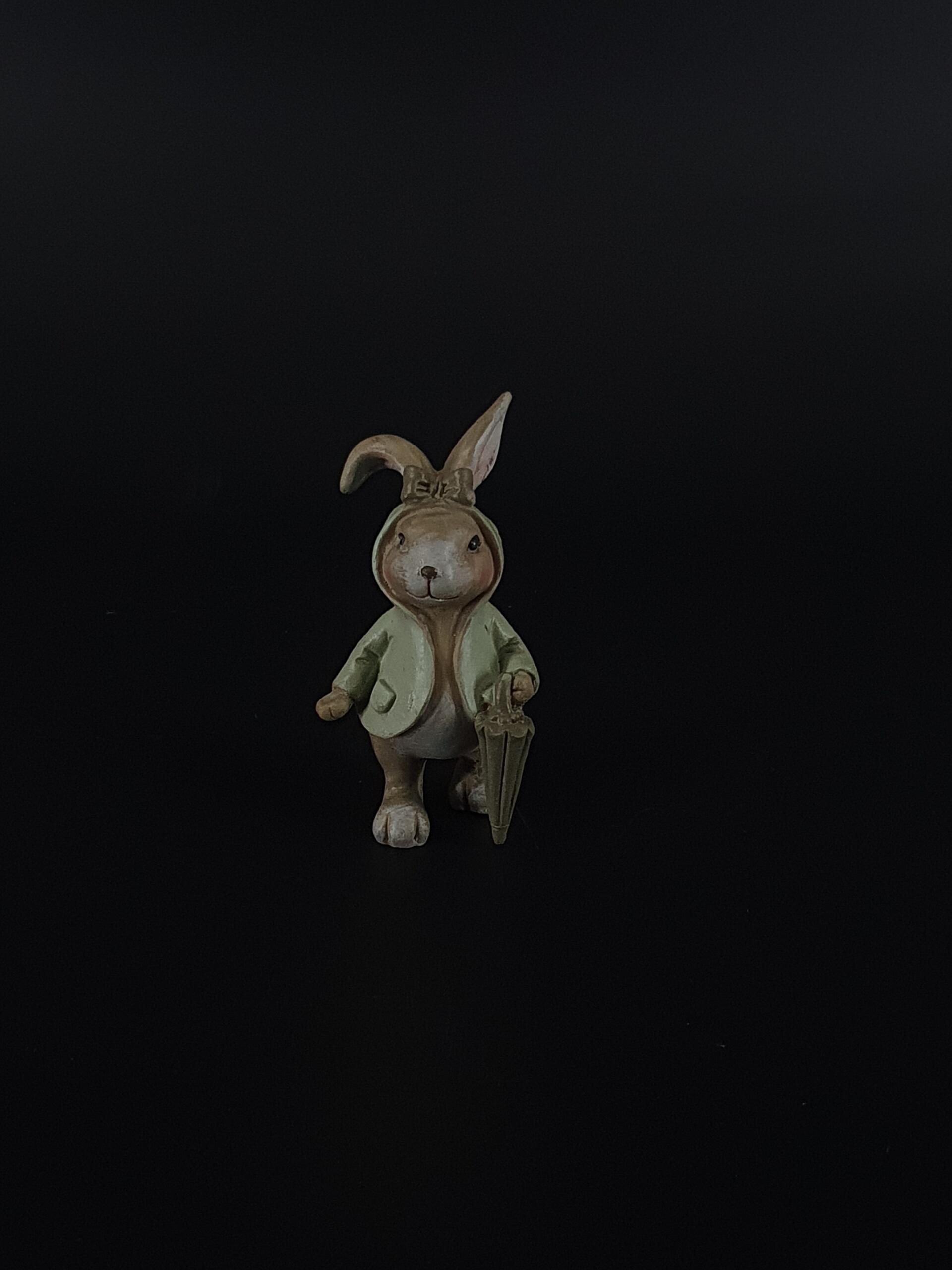 Hasendame mit grünem Hoody und Regenschirm