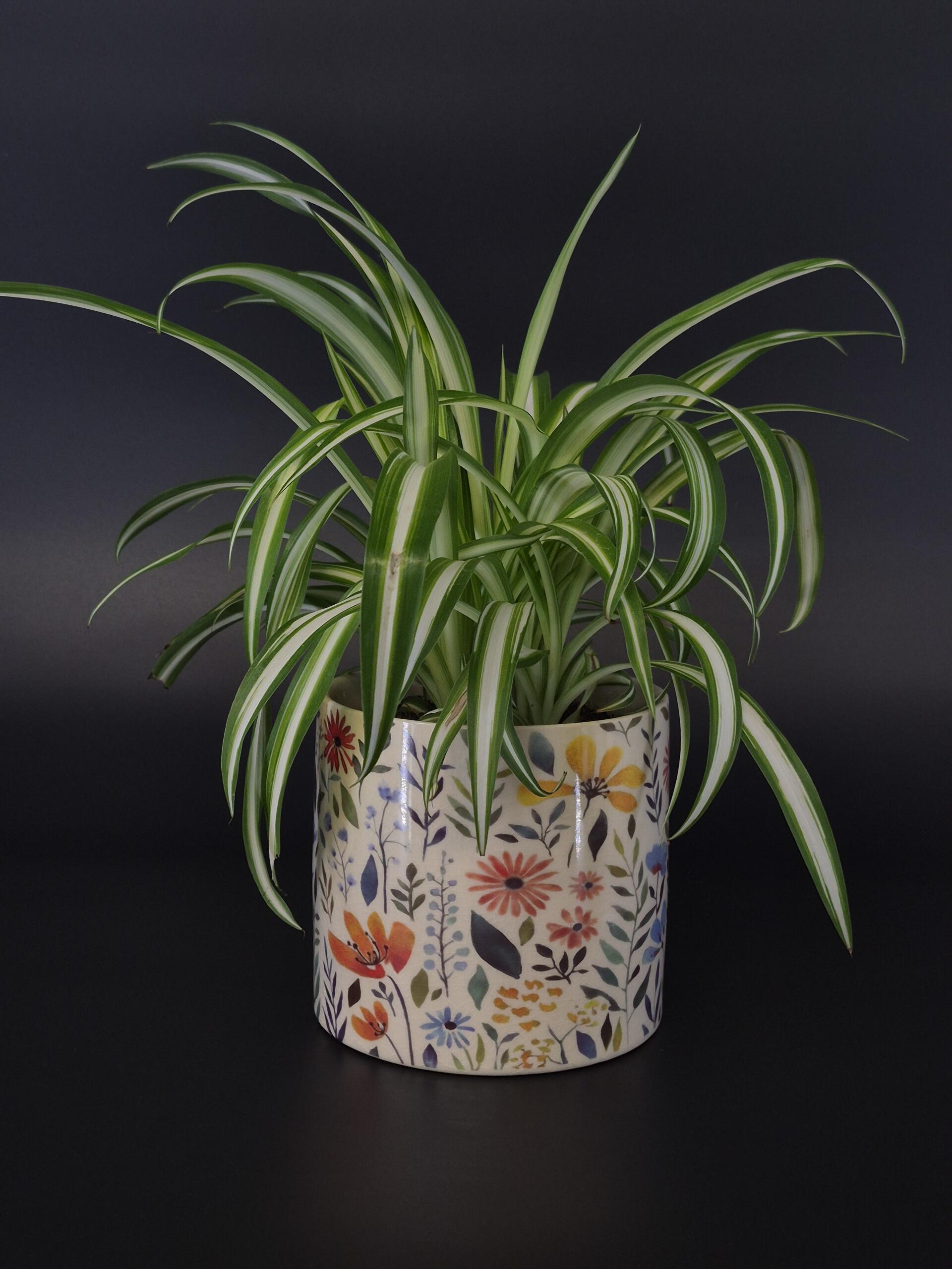 Übertopf mit buntem Sommerblumen-Design,Groß
