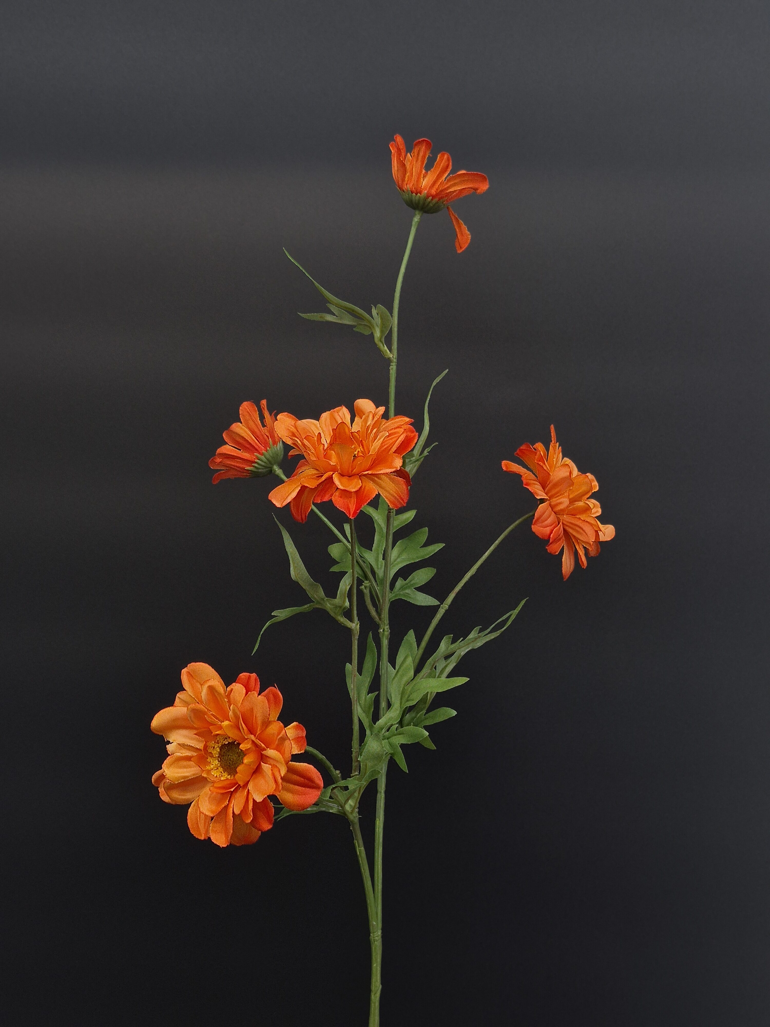 Künstliche Margerite – orange, nachhaltig und detailreich